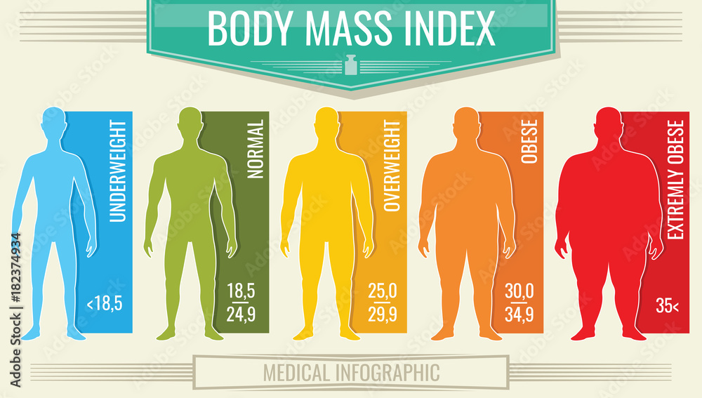 Man body mass index. Vector fitness bmi chart with male silhouettes and  scale Stock Vector