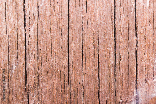 Wallpaper Mural Old wood wall for background Torontodigital.ca