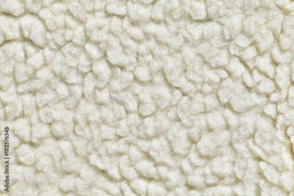 Felted wool texture Felted wool texture