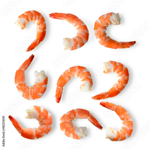 set of shrimps on a white background