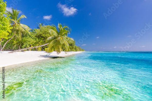 Fototapeta Naklejka Na Ścianę i Meble -  Maldives beach scene. Blue sea and palm trees for tranquil vacation concept