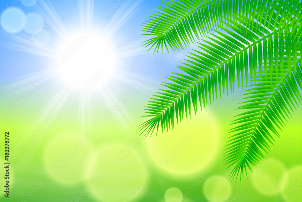Sunny background with bright sun and palm leaves