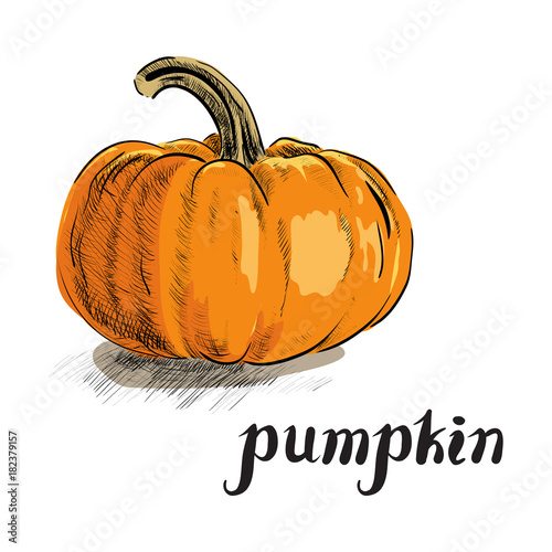 Orange Pumpkin Illustration