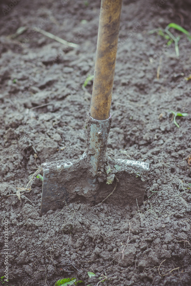 Working with shovel in the garden. Selective focus.