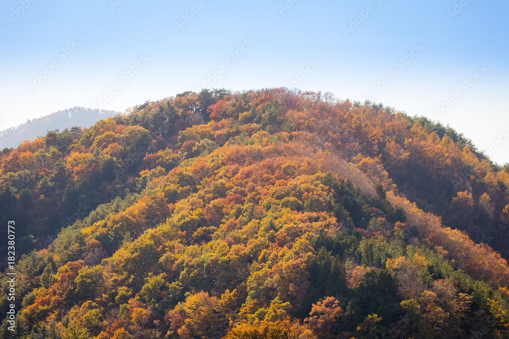Autumn landscape in the mountains of Japan