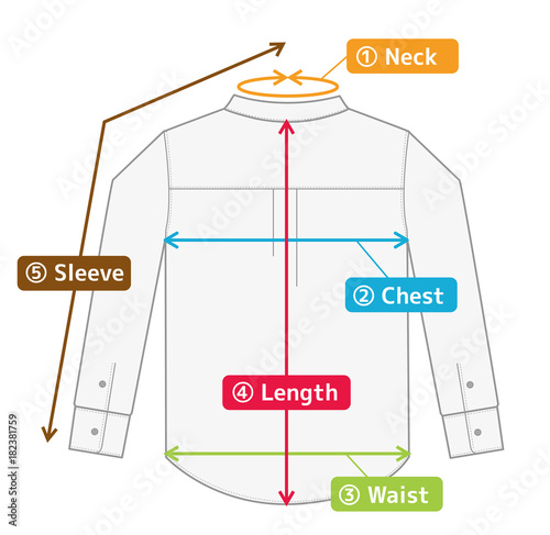 business shirt illustration for size chart (english) / color version
