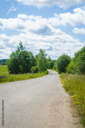 Country asphalt road in the summer