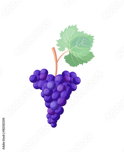 Icon of Red Ripe Grapes on Vector Illustration