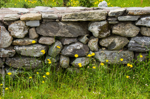Old Stone Wall in Ireland