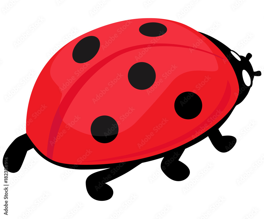 Fototapeta premium vector illustration of cute realistic ladybug
