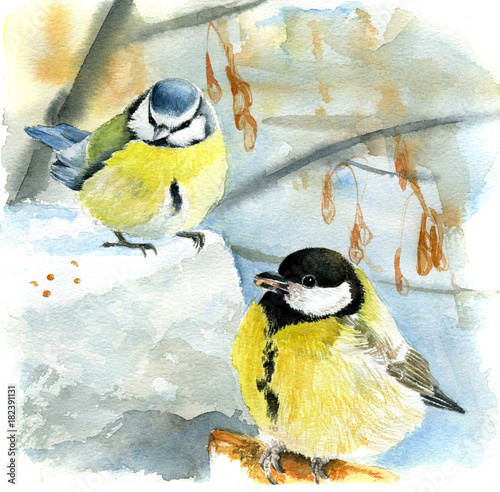 Watercolor painting  blue tit and great tit in winter