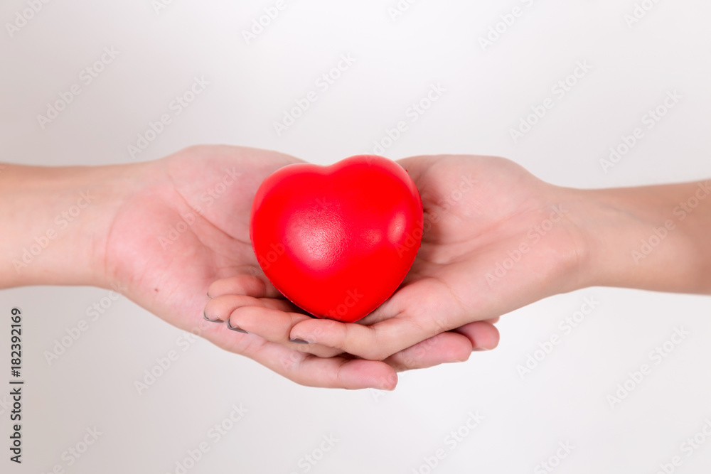 Heart in hands of couple love. Isolated on white background. Studio lighting. Heart in hands of couple love. Isolated on white background. Studio lighting.
