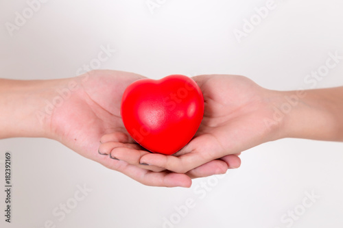 Heart in hands of couple love. Isolated on white background. Studio lighting.