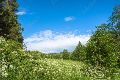 Summer rural landscape in the Central part of Russia.