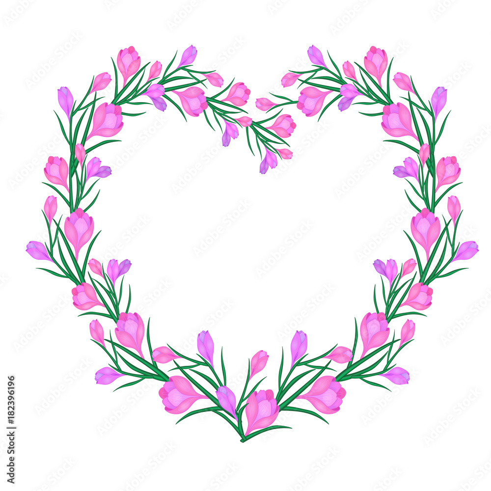 Crocus or saffron, hearts Crocus or saffron, hearts