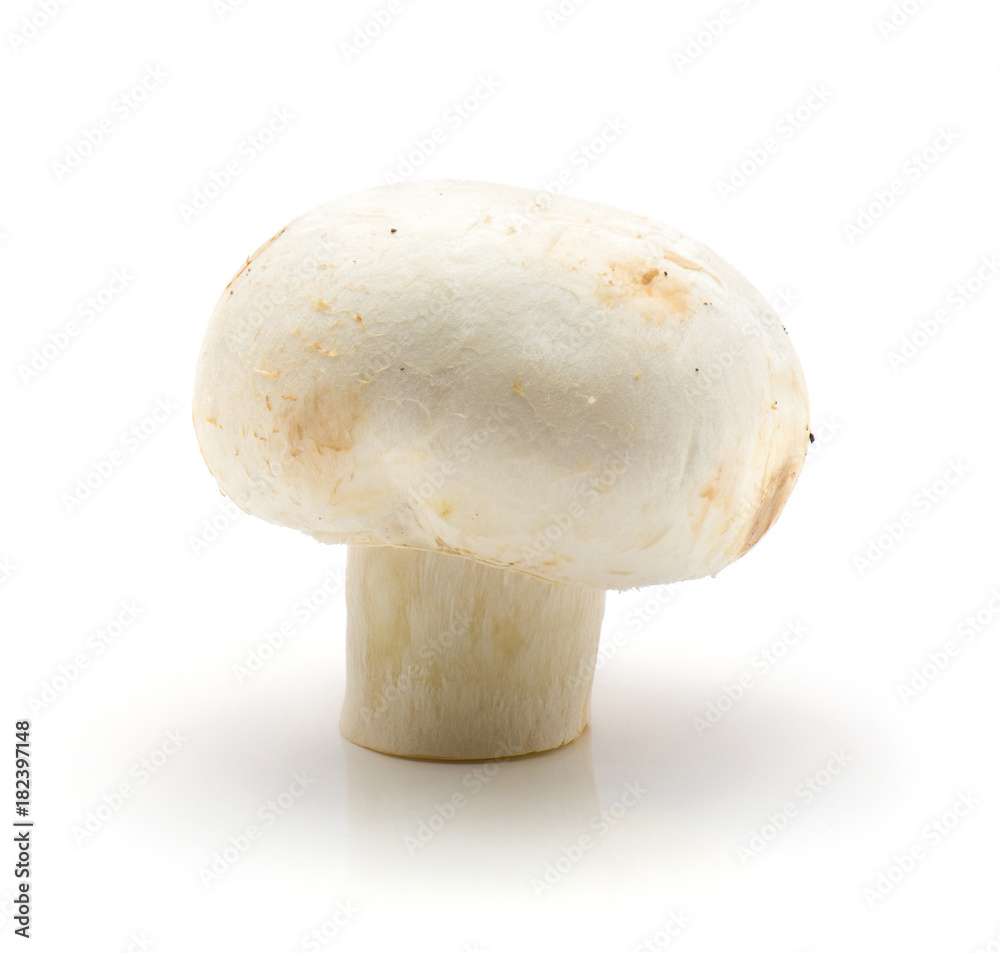 One whole champignon isolated on white background raw. One whole champignon isolated on white background raw.