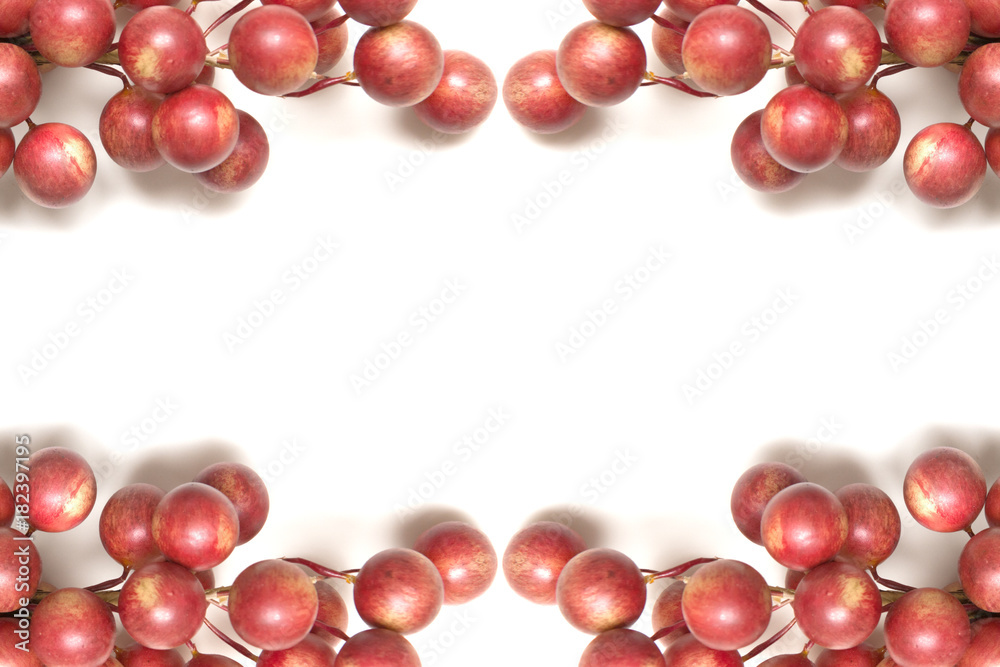 Christmas berries border with white space for text in the center Christmas berries border with white space for text in the center