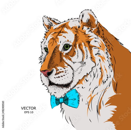 Fototapeta Naklejka Na Ścianę i Meble -  Portrait of a tiger with tie. Can be used for printing on T-shirts, flyers and stuff. Vector illustration