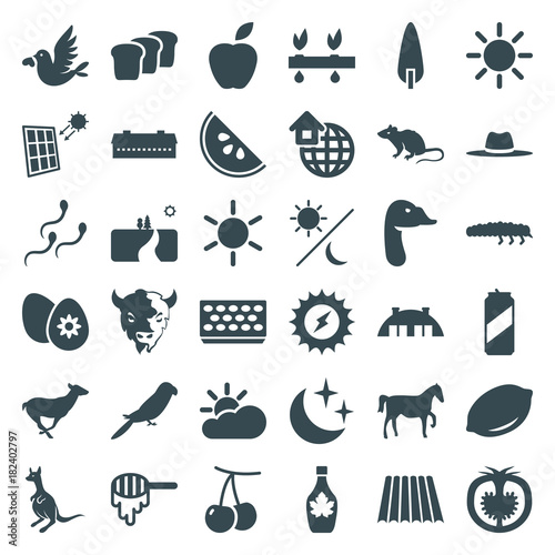 Set of 36 nature filled icons
