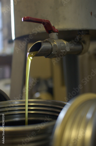 Olive press, Umbria, Italy photo