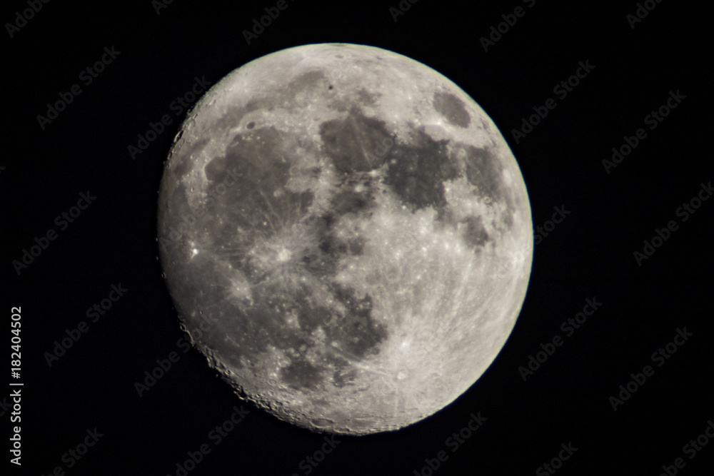 Moon Moon