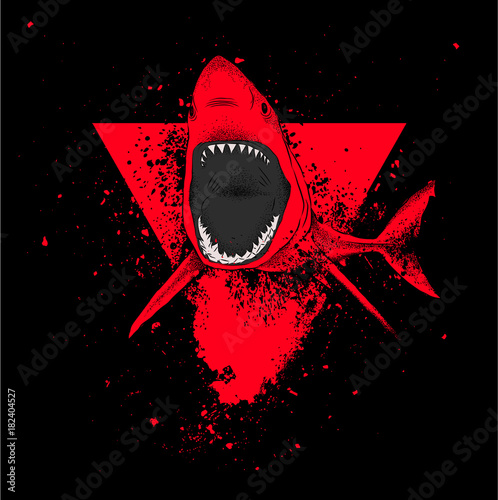shark in a triangle. abstract drawing. vector illustration.