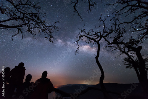 Silhouette tree against the milky way in a dark sky. photo