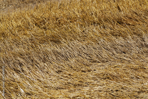 Après la moisson