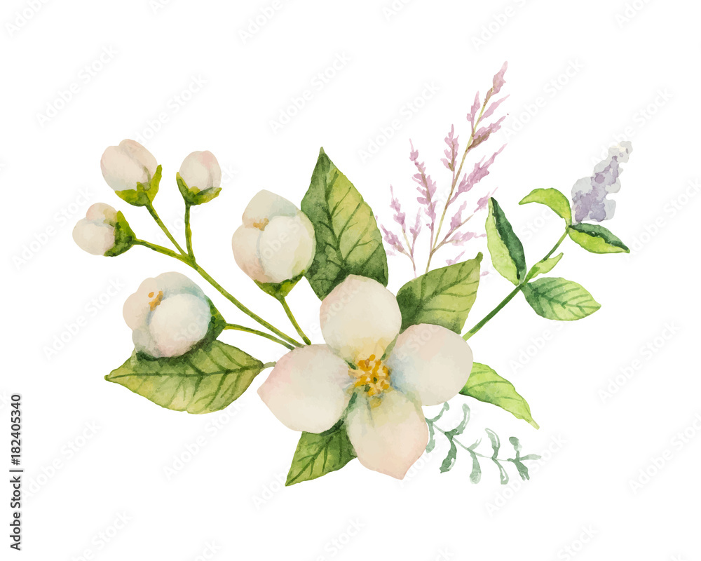 Naklejka premium Watercolor vector bouquet of Jasmine and mint branches isolated on white background.