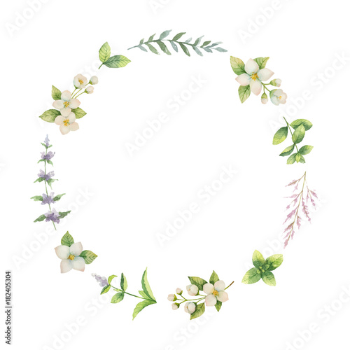 Watercolor vector frame of Jasmine and mint branches isolated on white background.