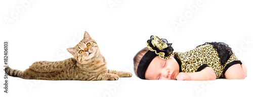 Portrait of cute newborn sleeping girl and cat Scottish Straight, isolated on white background