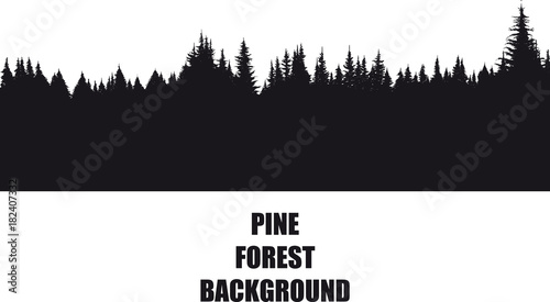 dark background silhouette of a pine forest isolated on a white background