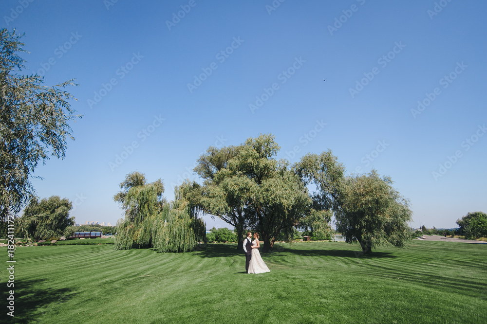 A newlywed couple is standing on the field. Green grass and blue sky. A newlywed couple is standing on the field. Green grass and blue sky.