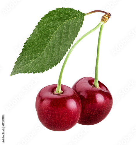 Wallpaper Mural Sweet cherry berry. Two on a branch with leaf Torontodigital.ca