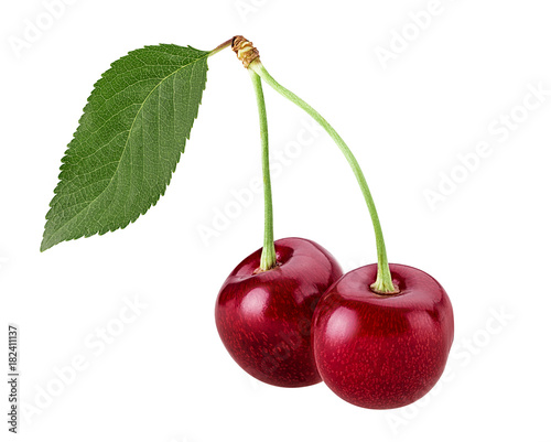Sweet cherry berry. Two on a branch with leaf