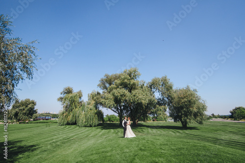 A newlywed couple is standing on the field. Green grass and blue sky.