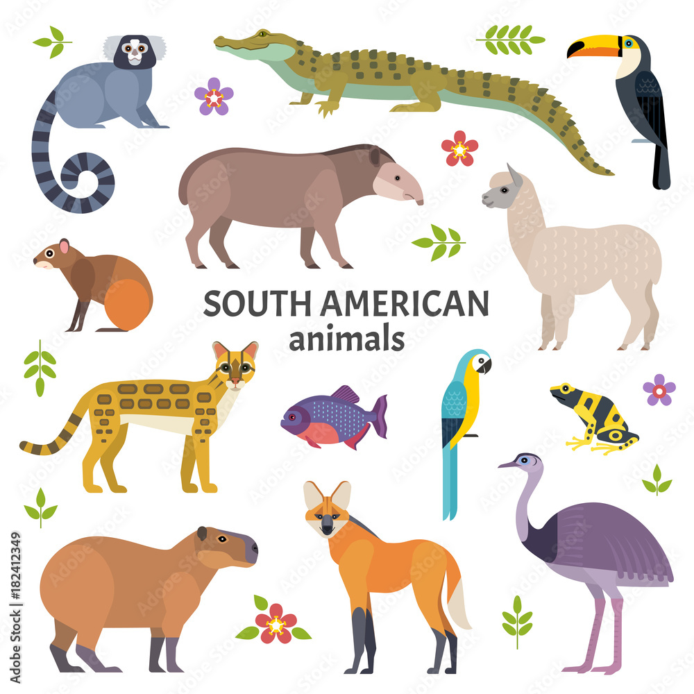 Animals of South America. Vector illustration of exotic animals, such as  cayman, tapir, capybara, ocelot, alpaca, piranha, toucan and ara. Isolated  on white. Stock Vector | Adobe Stock