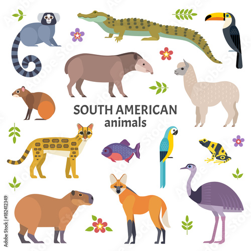 Animals of South America. Vector illustration of exotic animals  such as cayman  tapir  capybara  ocelot  alpaca  piranha  toucan and ara. Isolated on white.