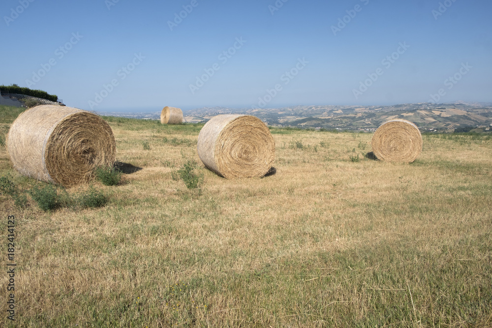 Landscape near Civitella del Tronto (Abruzzi) at summer