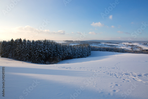 Winter landscape with the frosty forest trees and sky.