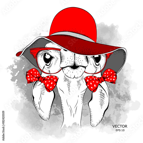 Picture of a funny roe deer  in a hat. Vector illustration