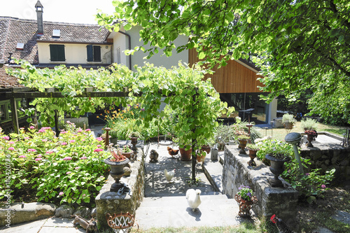 Cour intérieur et jardin d'une ancienne maison vigneronne avec vignes et poules se baladant librement sur la terrasse au milieu de la végétation  photo