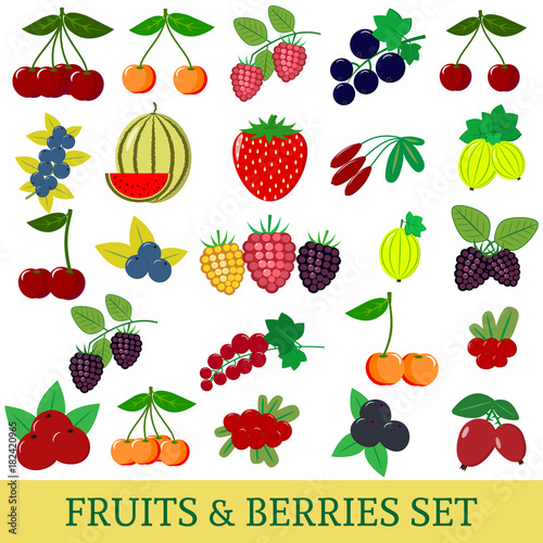 A set of fresh fruits and berries illustrations on a white background.