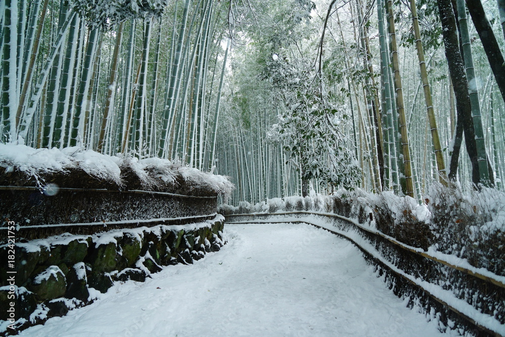 Fototapeta premium Kioto Arashiyama bambusowy las śnieżna scena