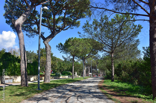 Napoli, viale del parco Virgiliano di Posillipo photo