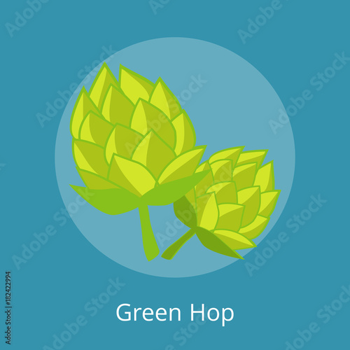 Green Hop Vector Illustration Isolated Icons