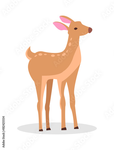 Adult Doe Isolated Vector in Cartoon Style Icon