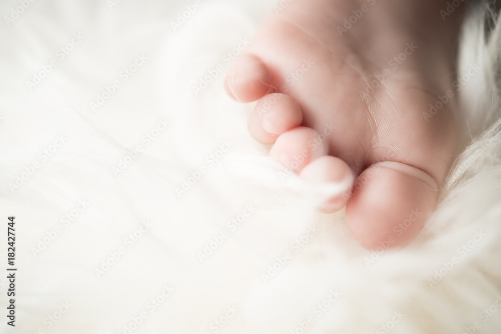Small bare feet of a little baby girl or boy. Sleeping newborn child. Bare feet of a cute newborn baby in warm white blanket.