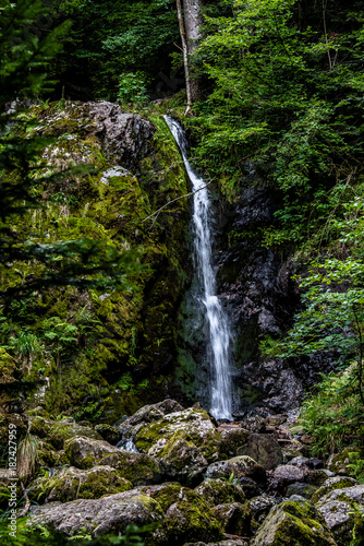 Cascade dans les Vosges