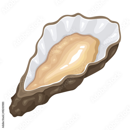 Oyster marine mollusks